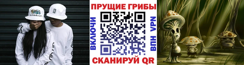 Псилоцибиновые грибы мухоморы  наркотики  Усть-Джегута 